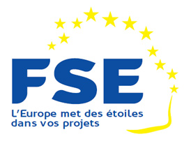 logo_fse.jpg